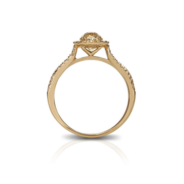 Crown Odyssey Ring | Crown of Light